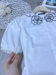 Sơ mi cổ bèo