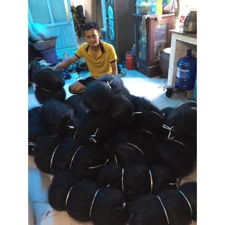 Lưới bẫy chim đêm