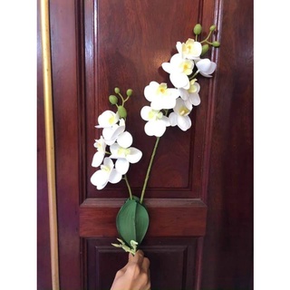 Hoa giả hoa lụa - Hoa lan hồ điệp cao su 2 nhánh trang trí nội thất