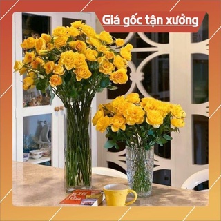 Bình hoa thủy tinh trụ tròn D10xH40, Lọ cắm hoa hình trụ trang trí