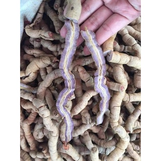 Ba kích tím tươi đã rút lõi 1kg