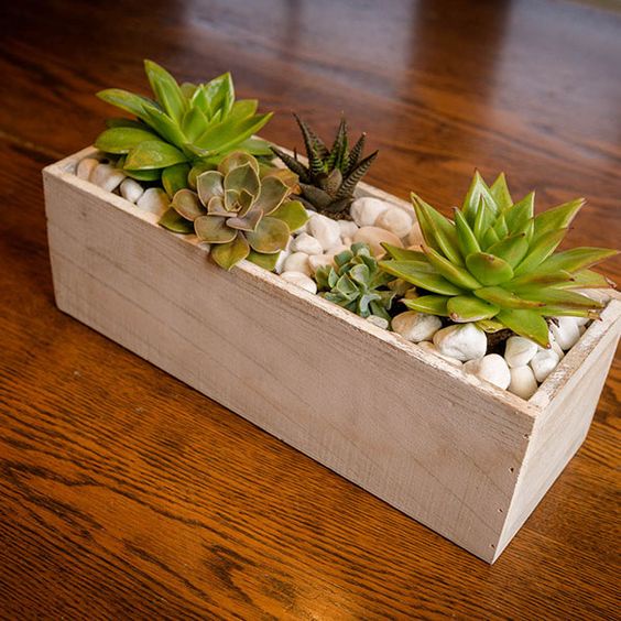 chậu chữ nhật trồng cây nhiều kích thước gỗ thông