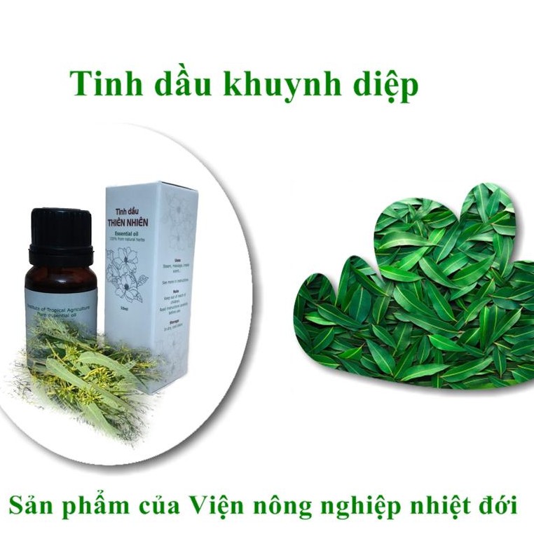 Tinh dầu khuynh diệp IAT