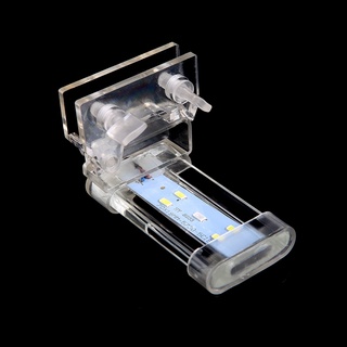 Đèn Led Trang Trí Bể Cá Cảnh Phích Cắm Eu