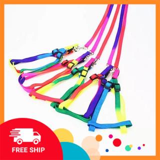 Dây Dắt Chó Mèo, Dây Dắt và yếm ngực, đai ngực cầu vồng dành cho chó mèo