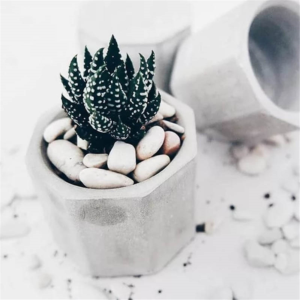 Khuôn Silicone Làm Bánh Tạo Hình Chậu Cây Sáng Tạo