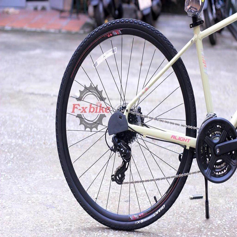 Xe đạp thể thao địa hình GIANT Touring Liv Alight 1 2020 - tặng chắn bùn, bình nước kèm giá để và chân chống
