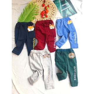 Combo 20 quần nỉ hình thú có túi