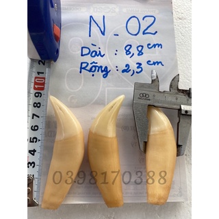 Nanh hổ giả N02