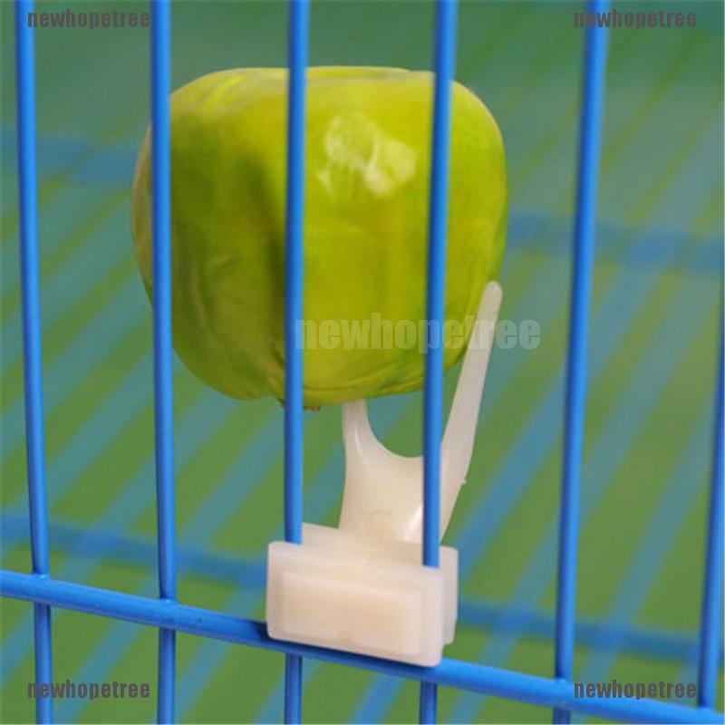 Set 2 Nĩa Ăn Trái Cây Bằng Nhựa Cho Chim Cảnh