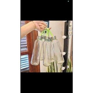 bình thủy tinh 500ml