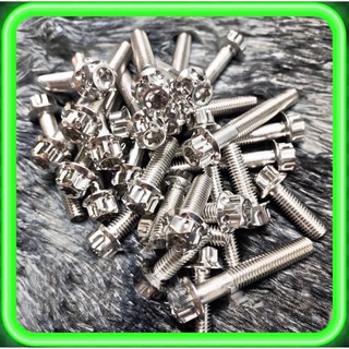 Ốc Salaya Inox 304 6ly, 8ly, 10ly Chiều Dài Đầy Đủ Các Size