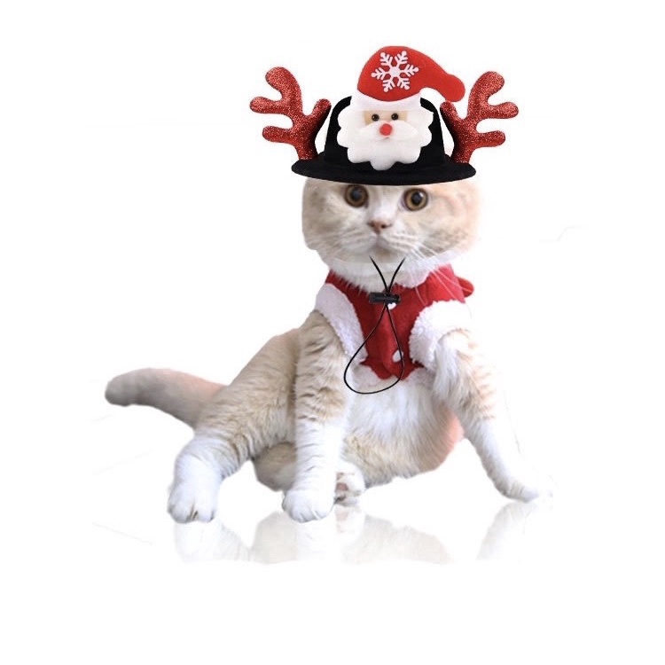 Mũ noel cho chó mèo. Mũ nón cho chó mèo