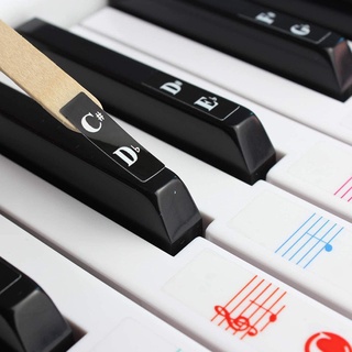 Nhãn dán bàn phím đàn Piano trong suốt 25 / 49 / 54 / 61 / 88 màu