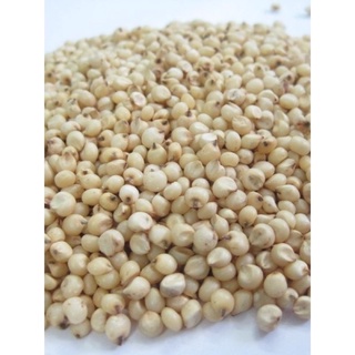 500gr hạt ý dĩ sạch tự nhiên 100%