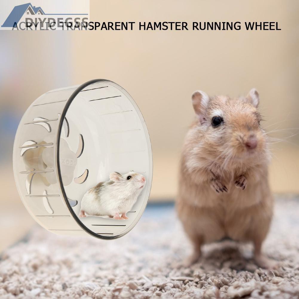 Bánh Xe Trong Suốt Cho Chuột Hamster 12.2