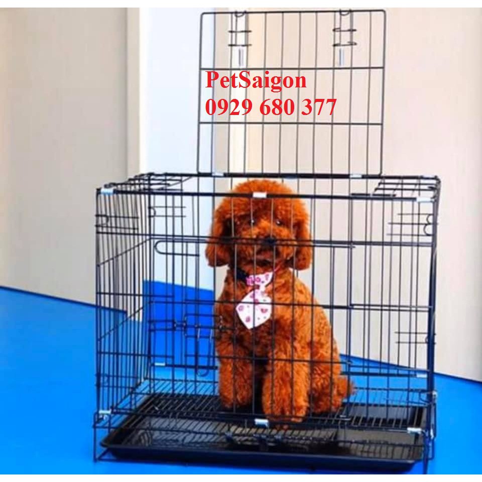 [TIỆN LỢI] Chuồng cho chó poodle