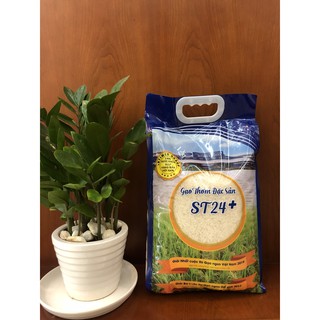 [Hoả tốc HCM Freeship] GẠO THƠM ĐẶC SẢN ST24+ 5kg (hút chân không)  - Cơm dẻo vừa, thơm tự nhiên