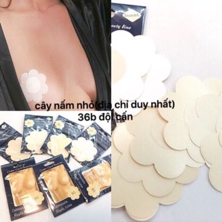 Miếng dán ngực lụa (10 miếng) - dán ti