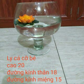 Bể cá thủy tinh để bàn.Bể cá có chân, dáng chiếc ly