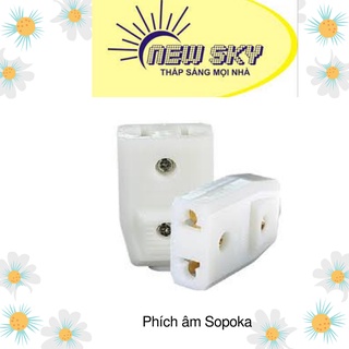 Phích cắm âm, phích cắm cái