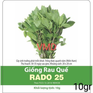 Hạt giống Rau Húng Quế