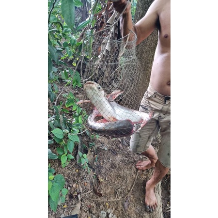 CÁM CÂU CÁ TỔNG HỢP 500G SIÊU NHẠY