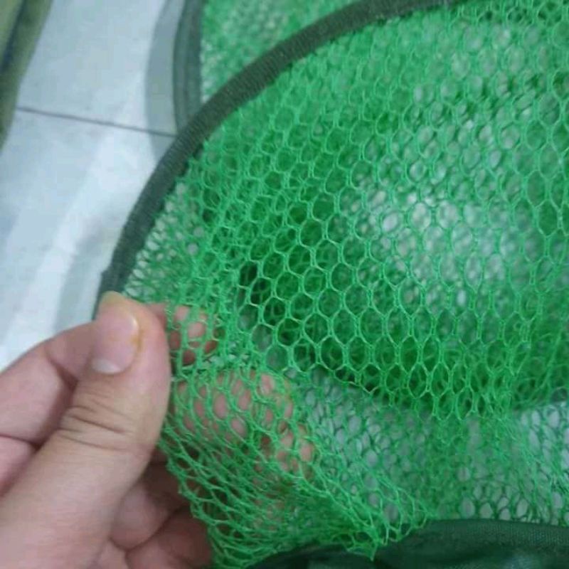 Rọng cá giá rẻ