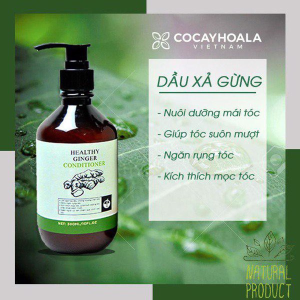 Dầu gội hà thủ ô cỏ cây hoa lá ngăn rụng tóc ngứa da đầu - Dầu xả gừng 300ml