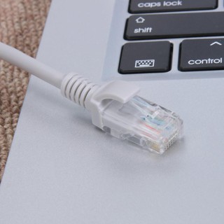 Ready Stock! 2M Network Cable Cat 5E RJ45 Ethernet LAN Network Cable
