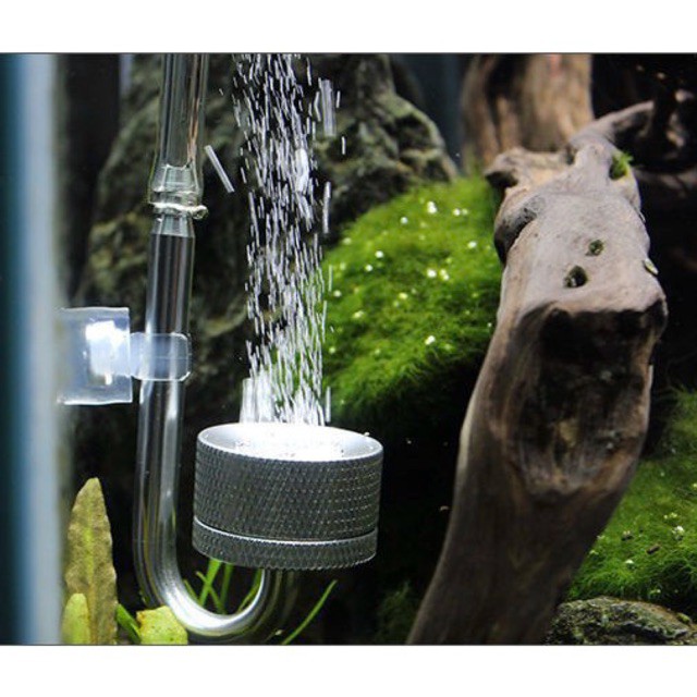 Đầu sủi Co2 Mufan - phụ kiện thủy sinh - shopleo
