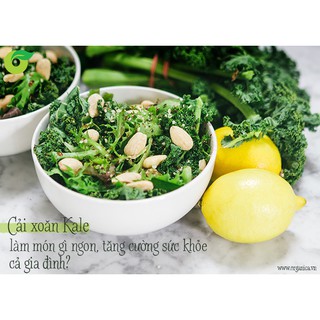 Gói 1Gr Hạt Giống Cải Kale Xoăn Nhiều Dinh Dưỡng, Dễ Trồng