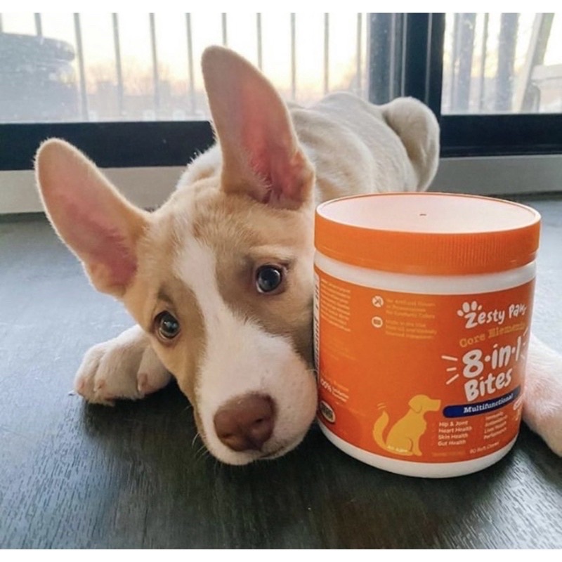 1 Viên Vitamin Zesty Paws Vitamin 8in1 dành cho chó
