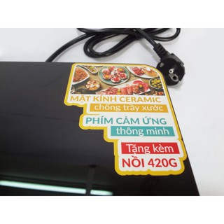 Bếp từ cảm ứng Sowun SW185