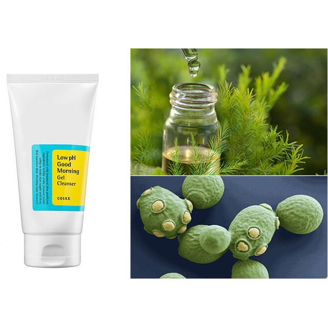 Sữa Rửa Mặt Dạng Gel Dịu Nhẹ Tràm Trà Cosrx Good Morning Low PH Cleanser 150ml