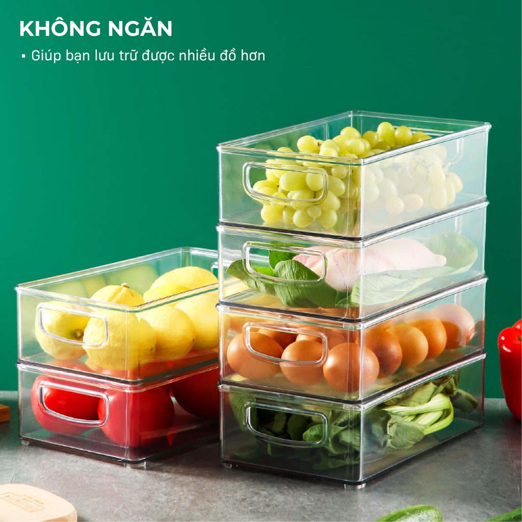Hộp Nhựa Trong Suốt Đựng Đồ Tủ Lạnh Thiết Kế To Đựng Rau Củ Quả Dễ Dàng Chất Liệu Nhựa Chịu Lực Tốt Giá Tốt Có Tay Cầm