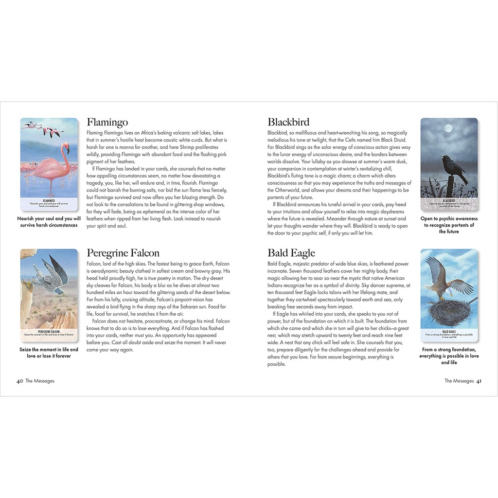 Bộ Bài Bird Messages Cards (Mystic House Tarot Shop) - Bài Gốc Authentic Chính Hãng 100%