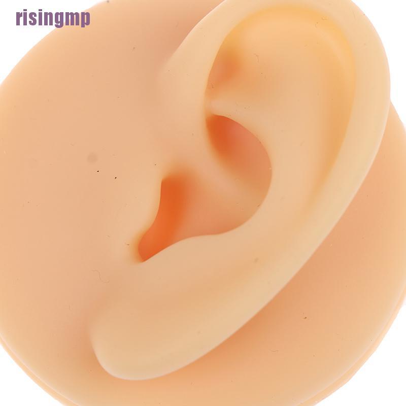 Giá Silicone Trưng Bày Bông Tai / Mũi / Mắt / Mũi Tiện Dụng