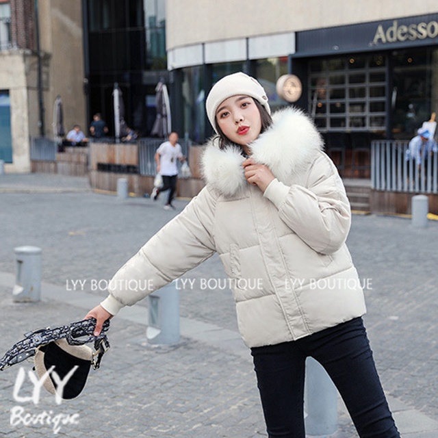 Áo phao béo nữ mũ lông 4 màu chất đẹp Quảng Châu LYY BOUTIQUE