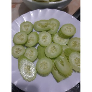 hạt giông dưa chuột rắn thai lan