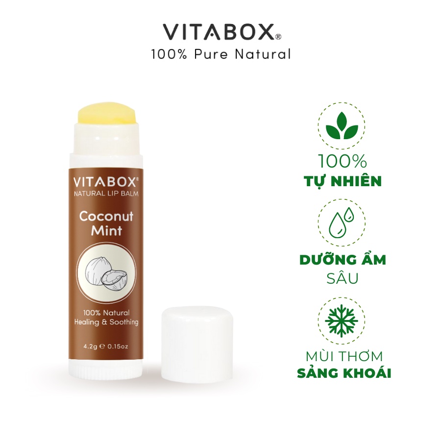 Son dưỡng không màu Coconut Mint VITABOX - 100% tự nhiên, dưỡng ẩm lâu không thâm môi