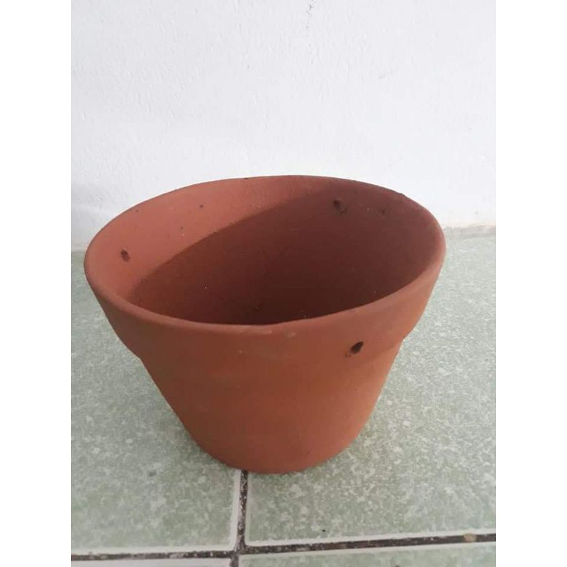 Chậu đất nung trồng cây