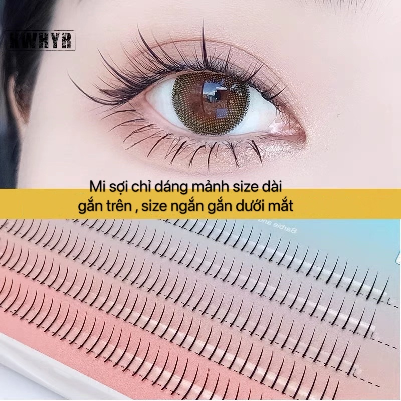 mi sợi chỉ mảnh có trụ chân mi to dán cho mi trên và mi dưới