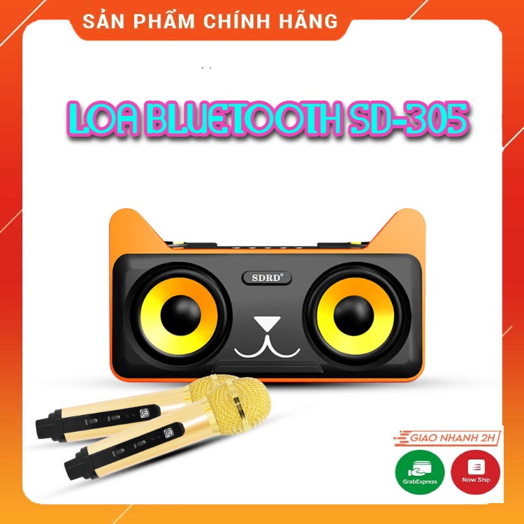 Loa Bluetooth Karaoke Mini SD305 Kèm 2 Tay Mic Không Dây. Âm Thanh Trong Trẻo, Dễ Dàng Sử Dụng. Bảo Hành 12 Tháng