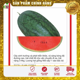 Hạt giống Dưa Hấu Đỏ 10 Hạt