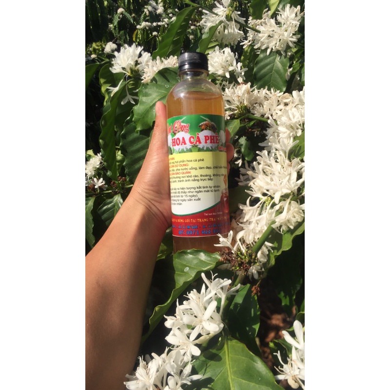 Com bo 2 chai 500ml Mật Ong Hoa Cà Phê 100% Nguyên Chất đóng gói Từ trang Trại Cô Hà | BigBuy360 - bigbuy360.vn