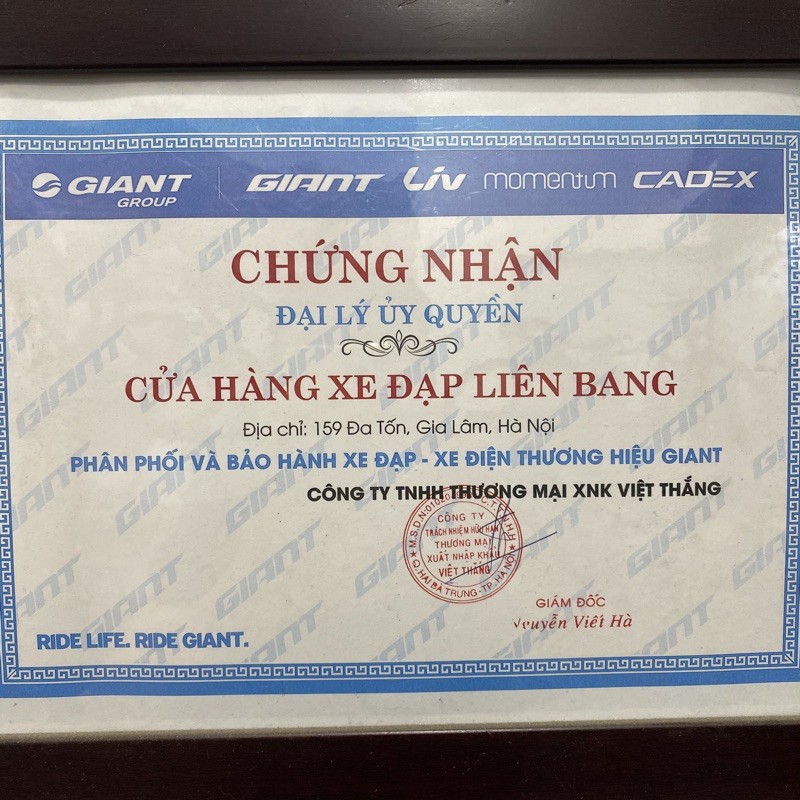 Xe đạp đua GIANT SCR-D 2019