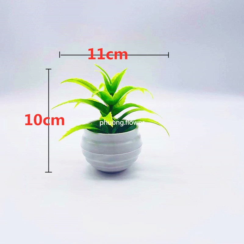 Chậu cây lô hội giả cây lưỡi hồ nhân tạo mini bằng nhựa để bàn trang trí nhà ở decor văn phòng nhà tắm siêu bền đẹp