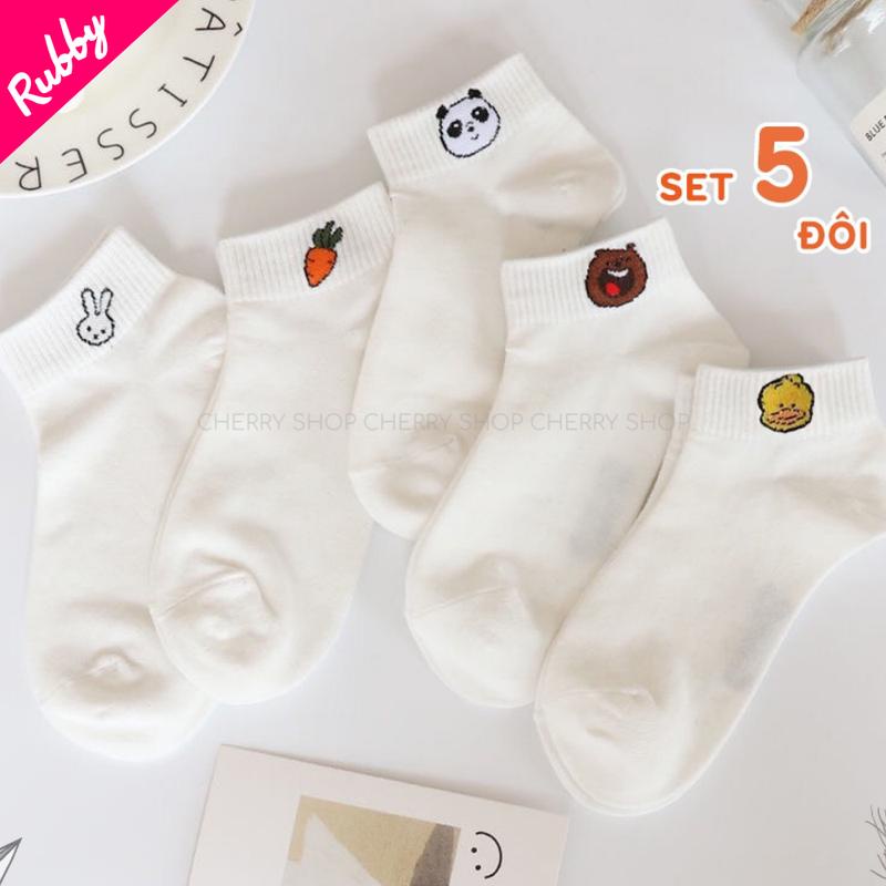 M12 Set 5 đôi tất nữ cổ ngắn họa tiết dễ thương chất cotton co giãn 4 chiều thời trang