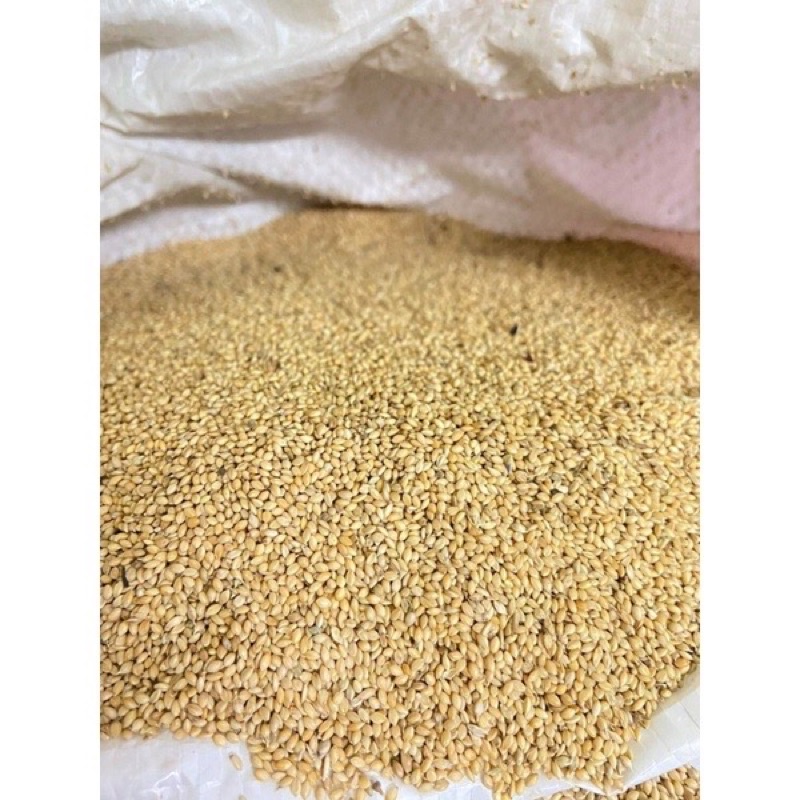 Kê trắng Mỹ 1kg .